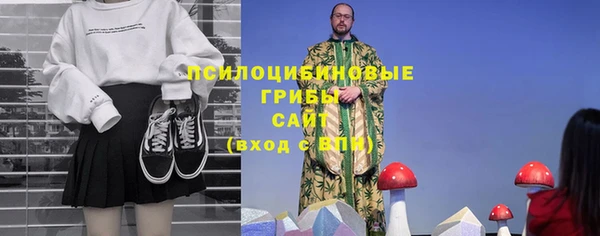 гидропоника Белокуриха