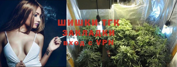 PSILOCYBIN Балабаново
