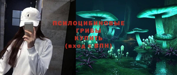 PSILOCYBIN Балабаново