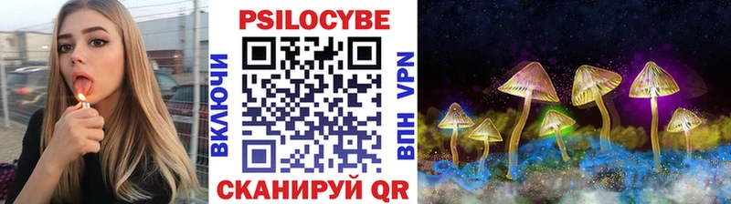 blacksprut рабочий сайт дарнет шоп Североморск Псилоцибиновые грибы MAGIC MUSHROOMS